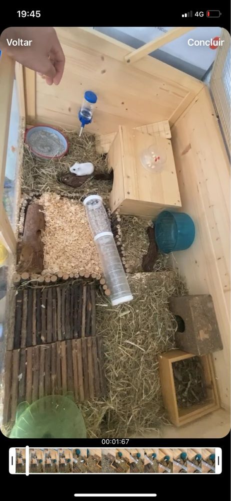 Terrario (gaiola / leve)  hamster/ roedores