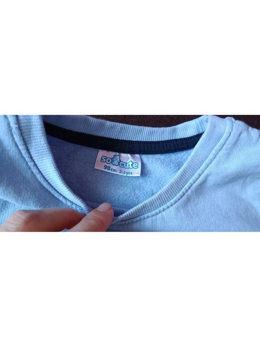 Фірмова кофта світшот дитяча з утепленням, 98см 2-3 роки