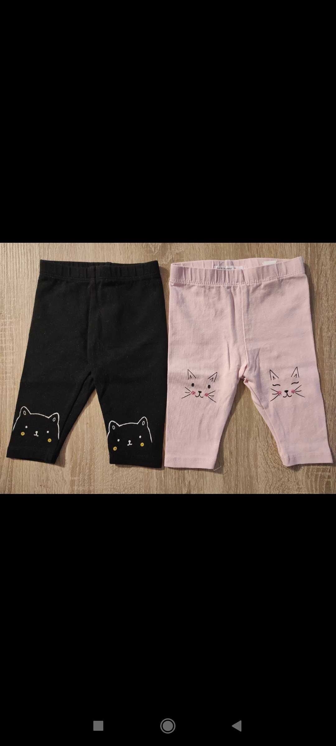 Zestaw kotki body legginsy bluzka Reserved 5.10.15 Fox&bunny