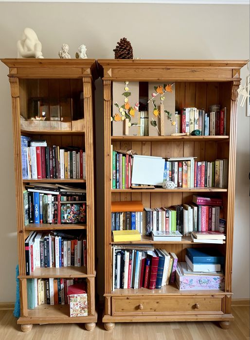 Szafa do sypialni salonu