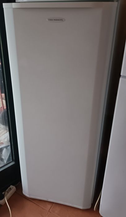 Arca congeladora vertical