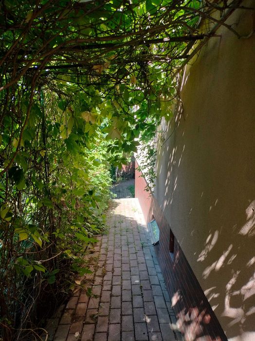 Будинок, Городище на ділянці 12 сот.