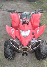 Quad 110cc manual