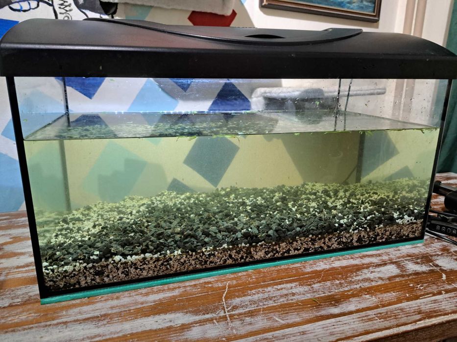 Sprzedam małe akwarium