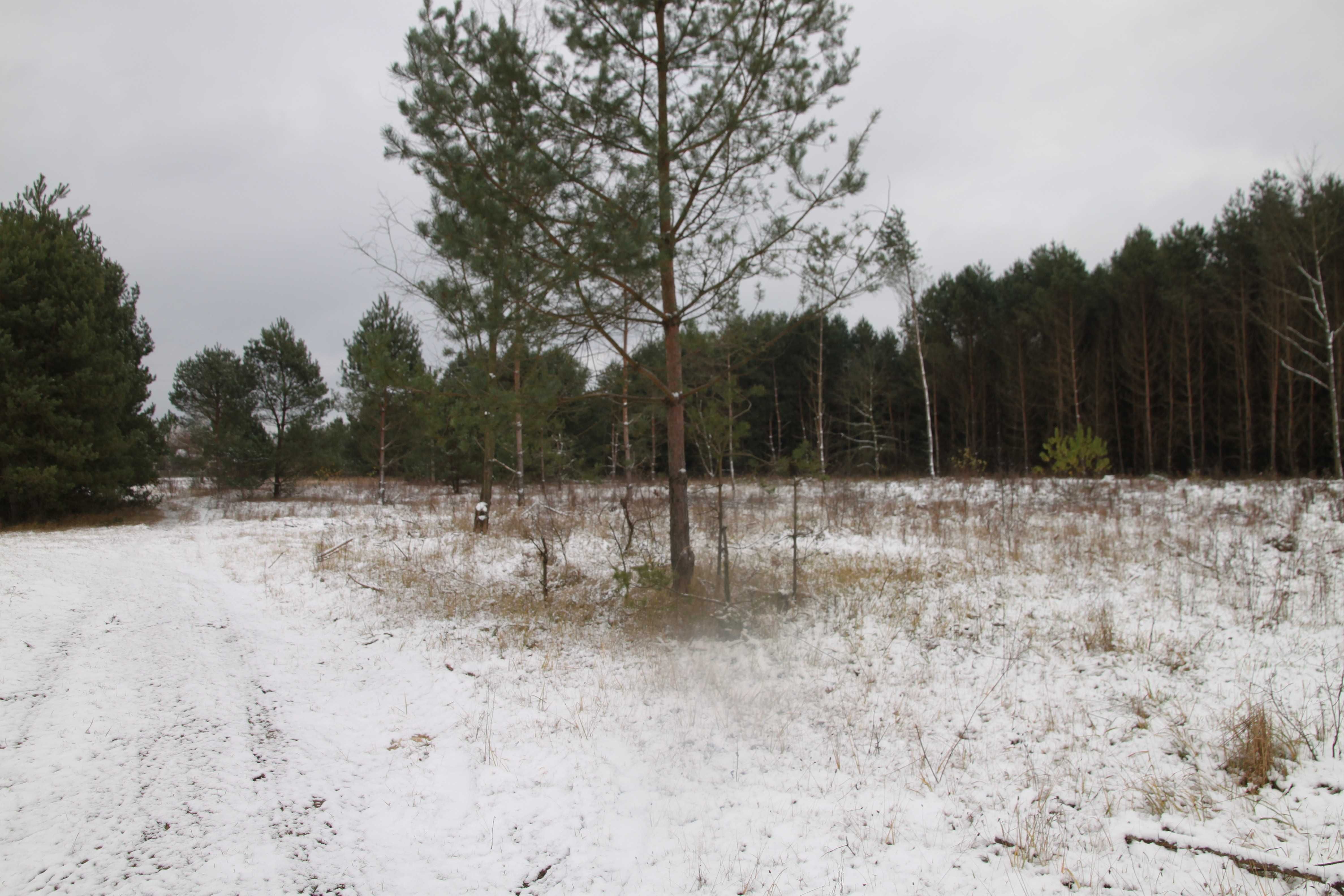 Działka budowlana, Silniczka, powiat radomszczański