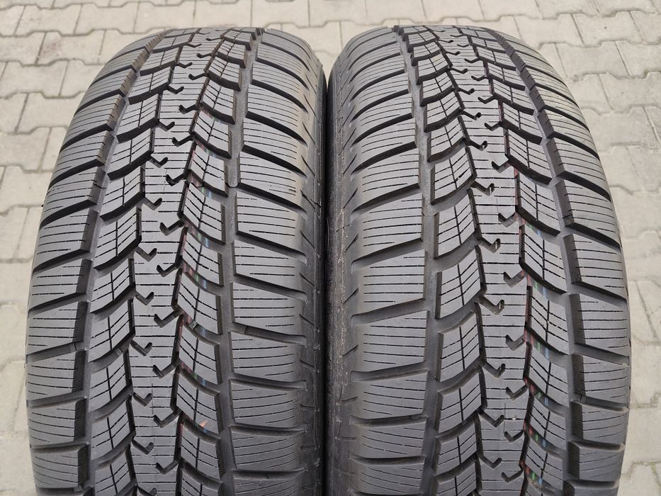 225/65/17 Sava Eskimo Suv 2