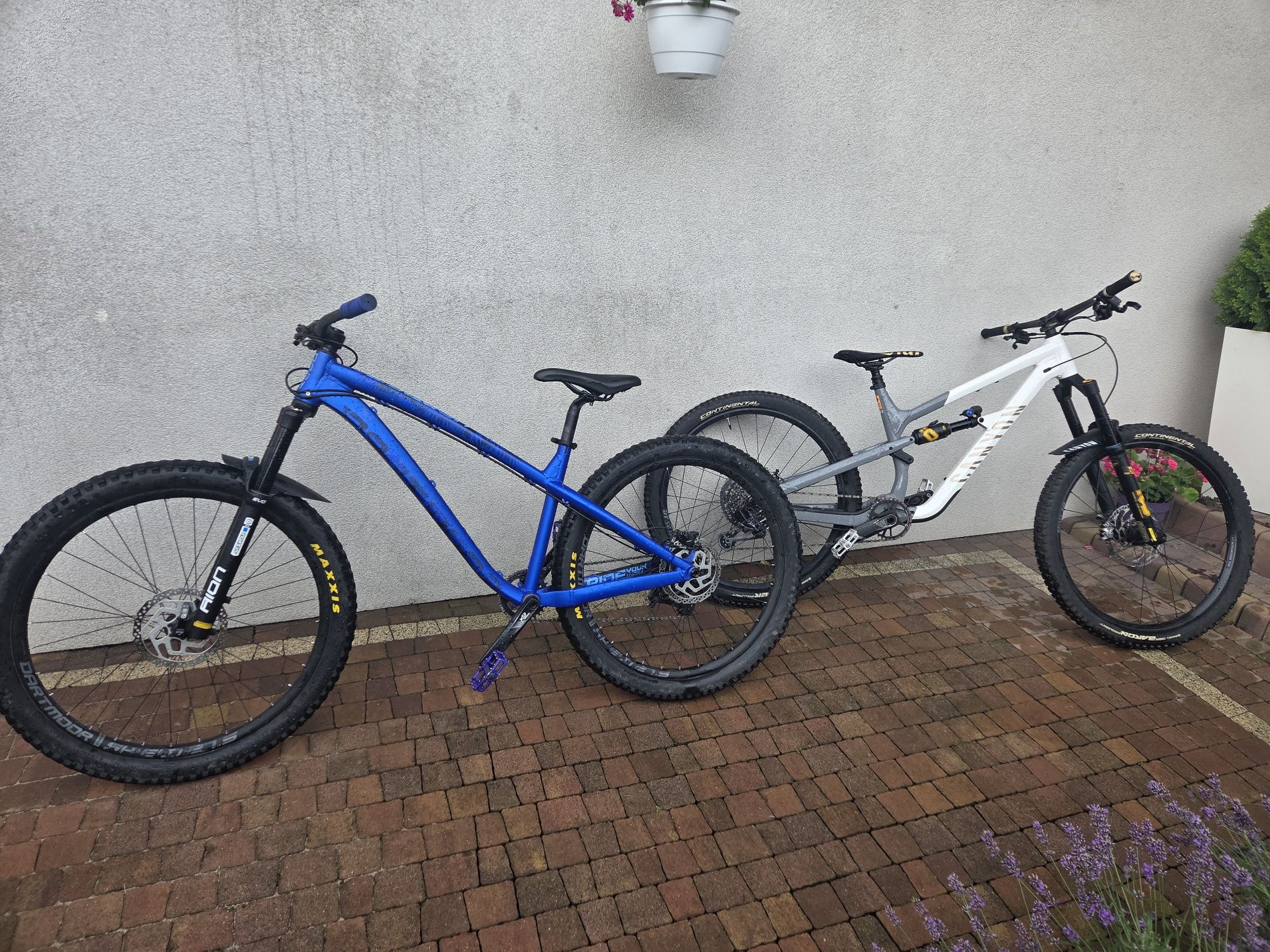 Dartmoor hornet pro 2022 (custom)