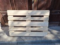 Paleta Euro 80x120