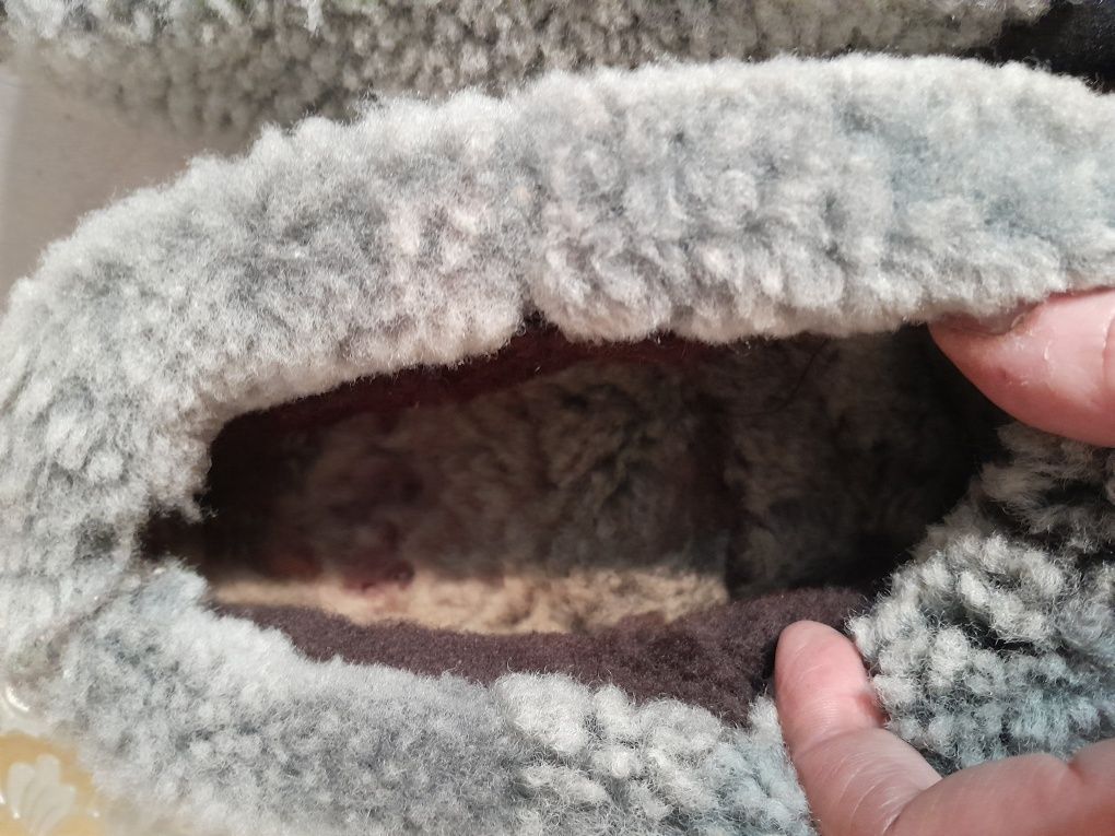 Bambosze Kapcie Wełniane Ciapy PANTOFLE Z WEŁNĄ Ciepłe Skórzane FOREST