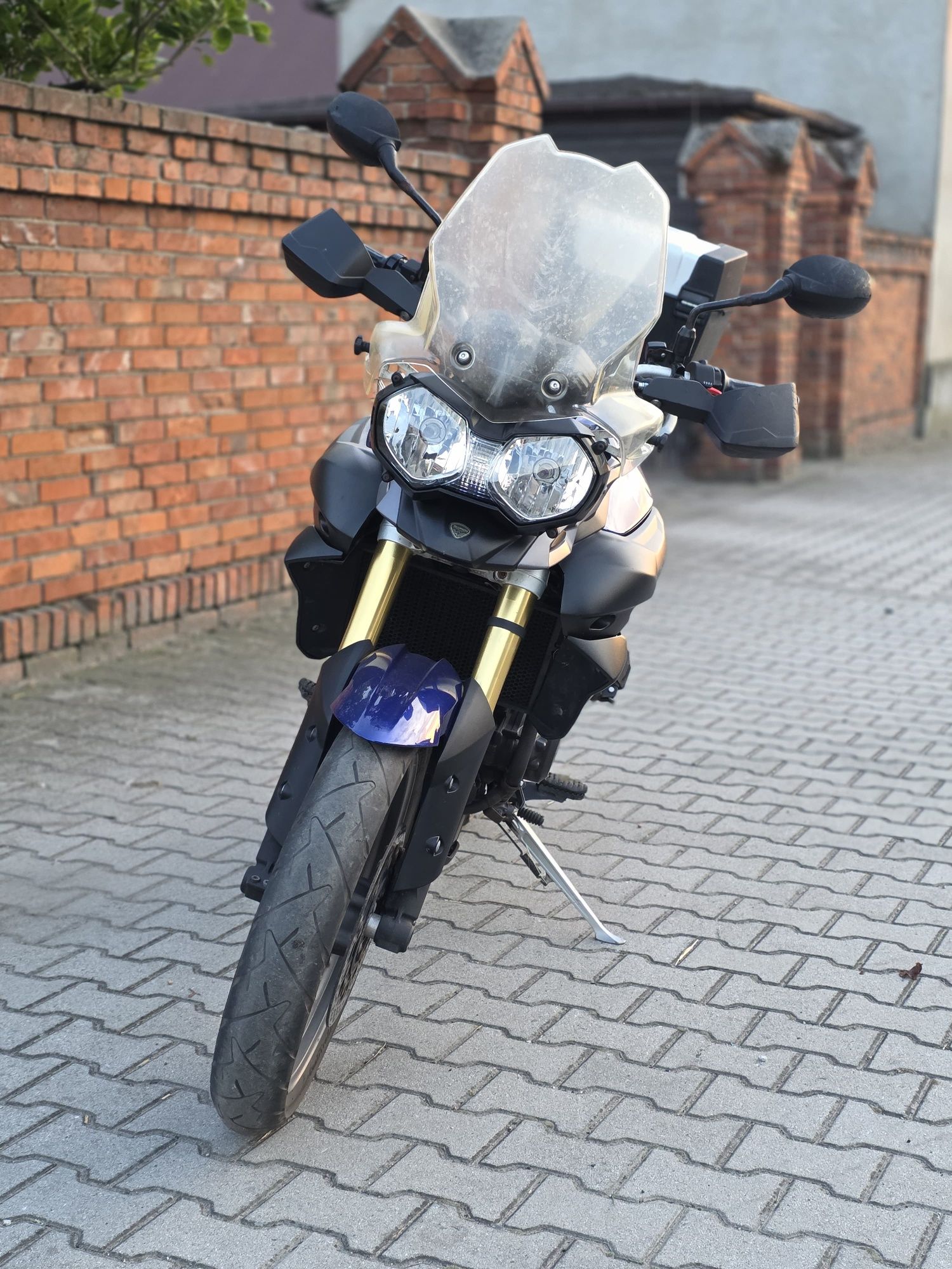 Triumph tiger 800