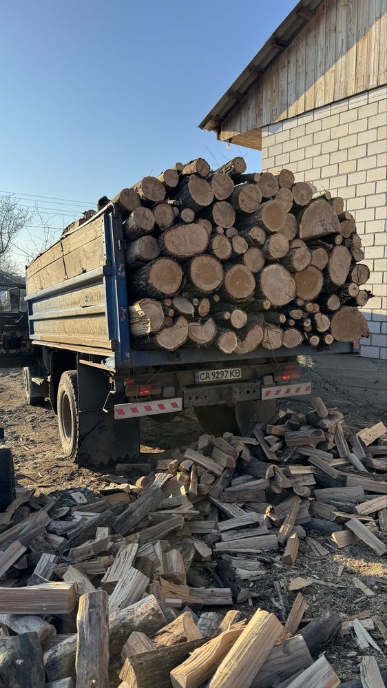 Продам дрова твердих порід