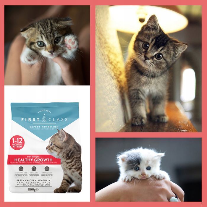First Class Kitten Bezzbożowa Karma Sucha Kurczak 800G