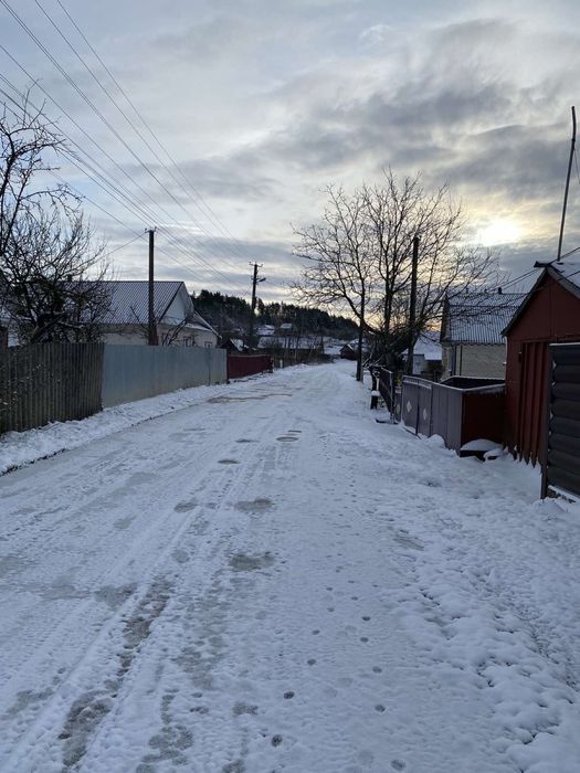 Кірказон Ломоносовидний