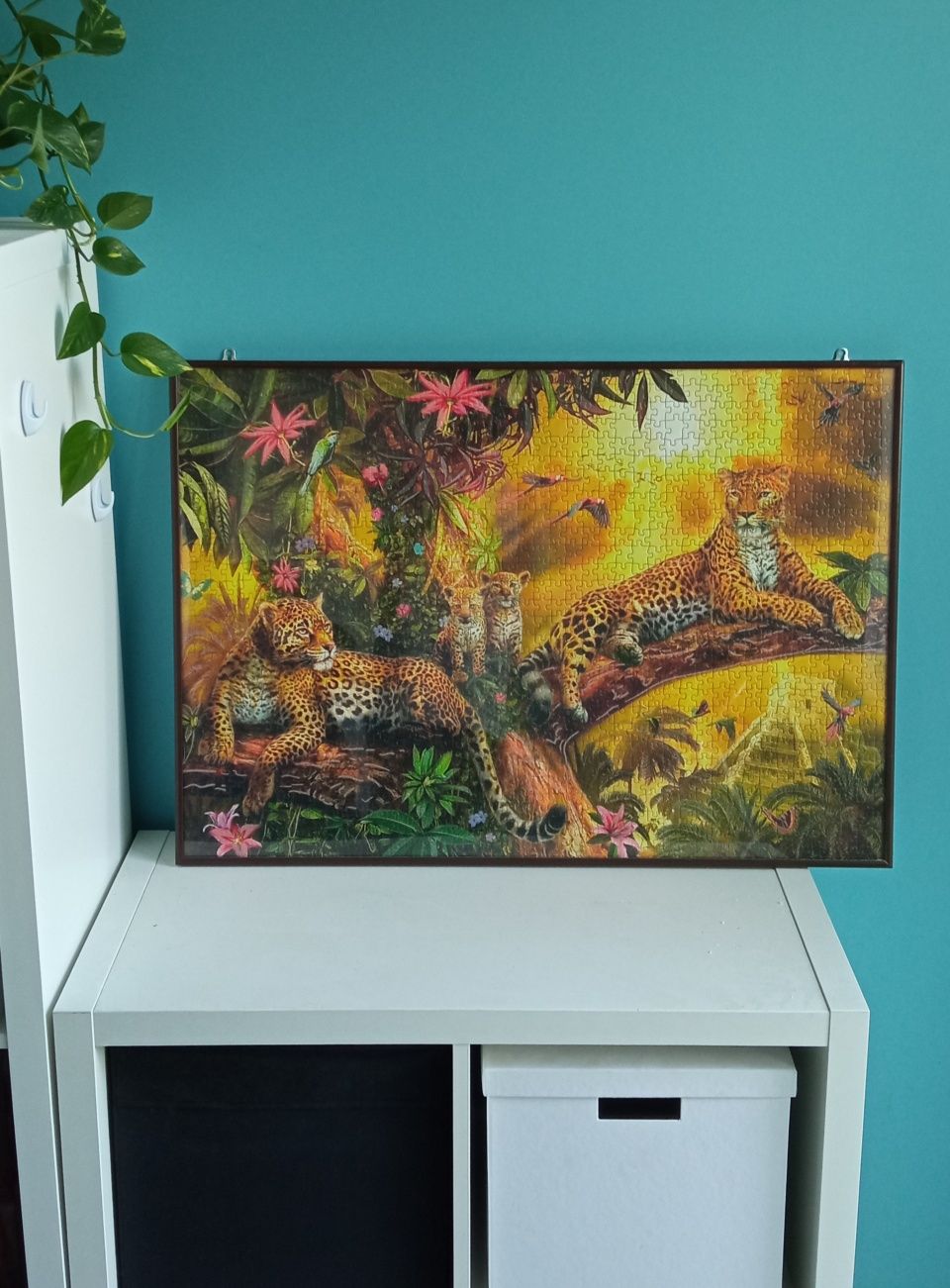 56x80cm Obraz z puzzli natura, przyroda pantera / lampart