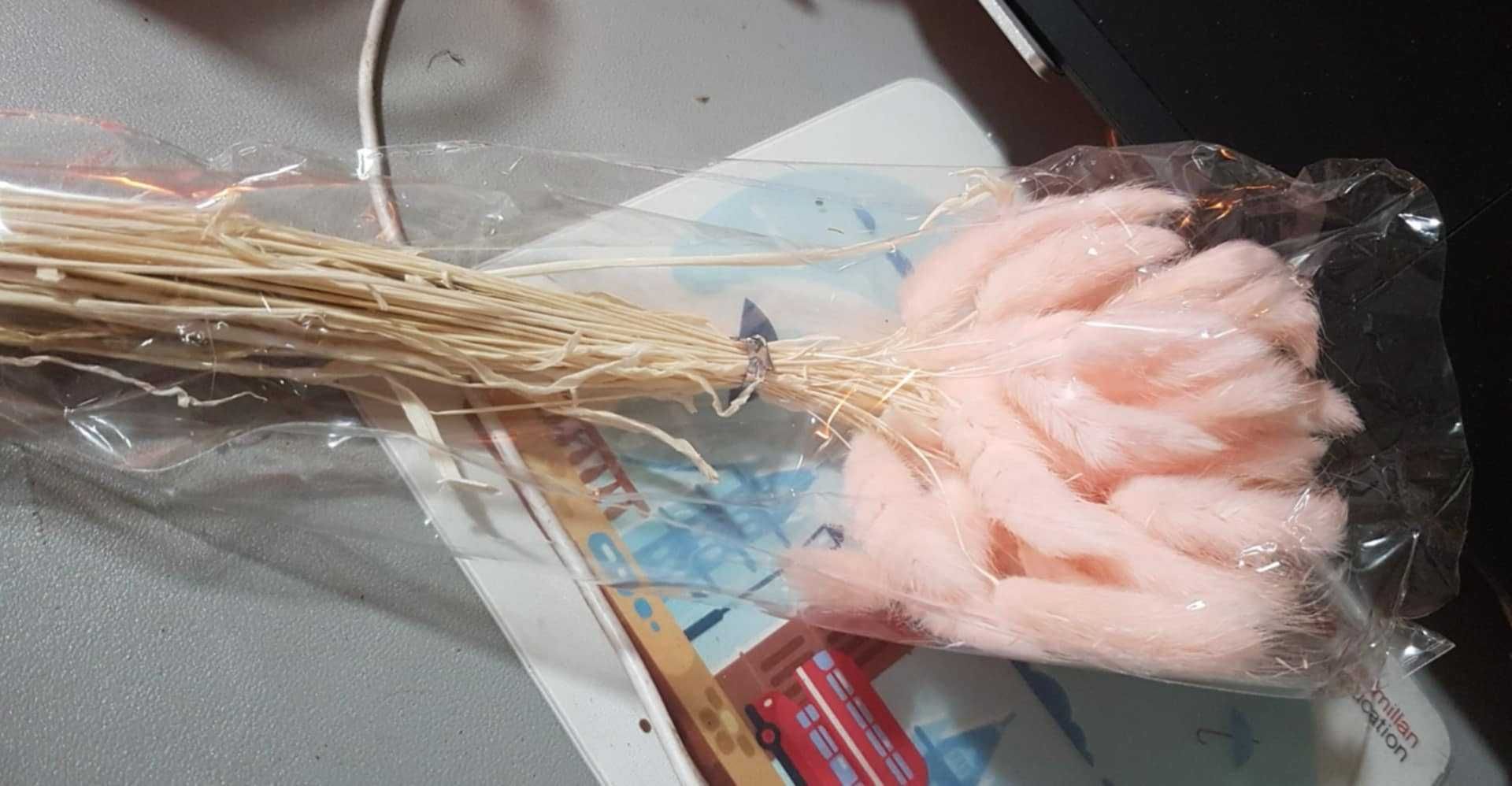 Suszony kwiat ogon królika 120 sztuk traw