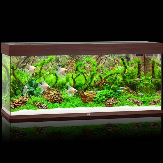 NOWE Akwarium Juwel Rio 240 LED, zestaw akwariowy