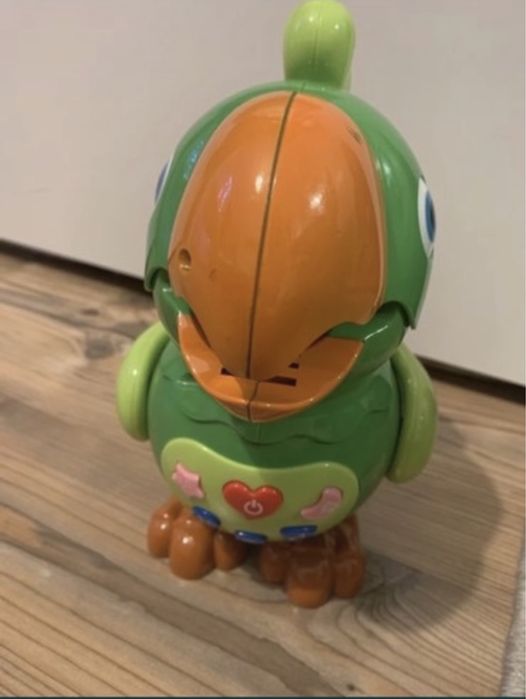 Papuga gadula