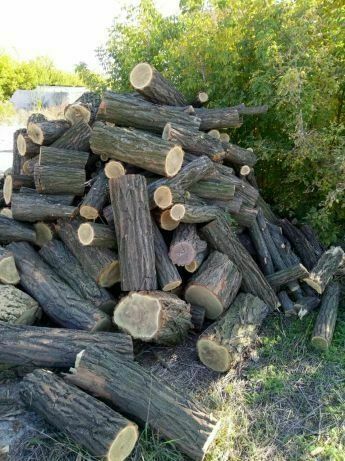 Дрова акация ясень уложенные !
