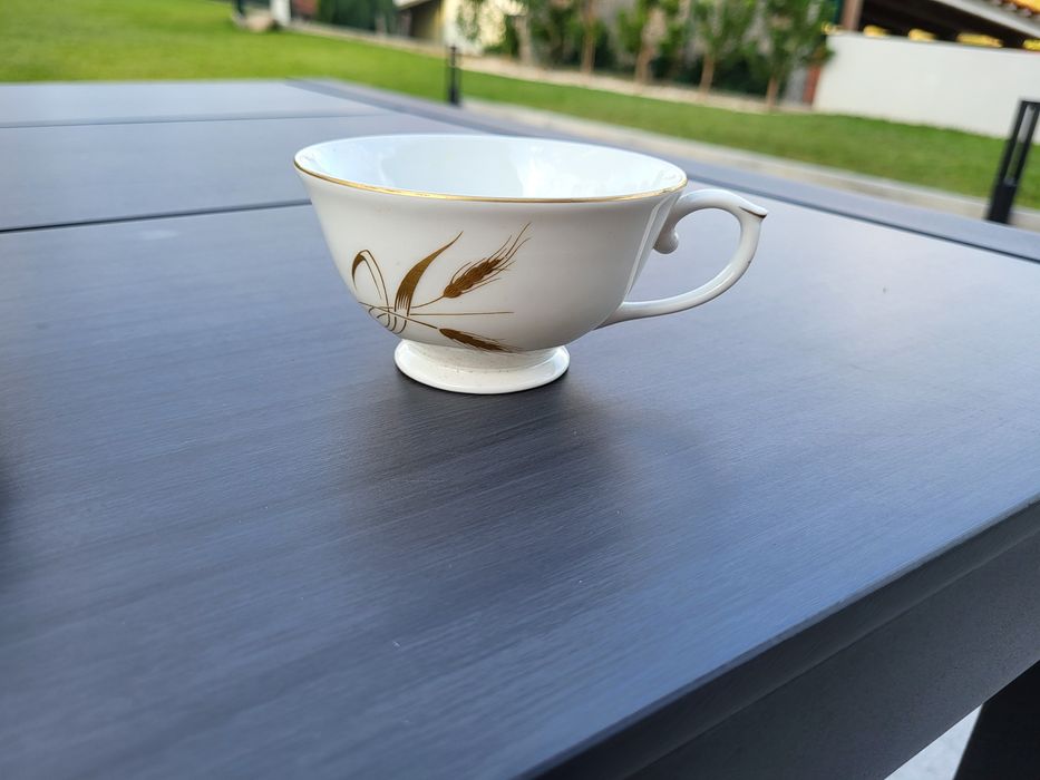 Coleção porcelana portuguesa vintage