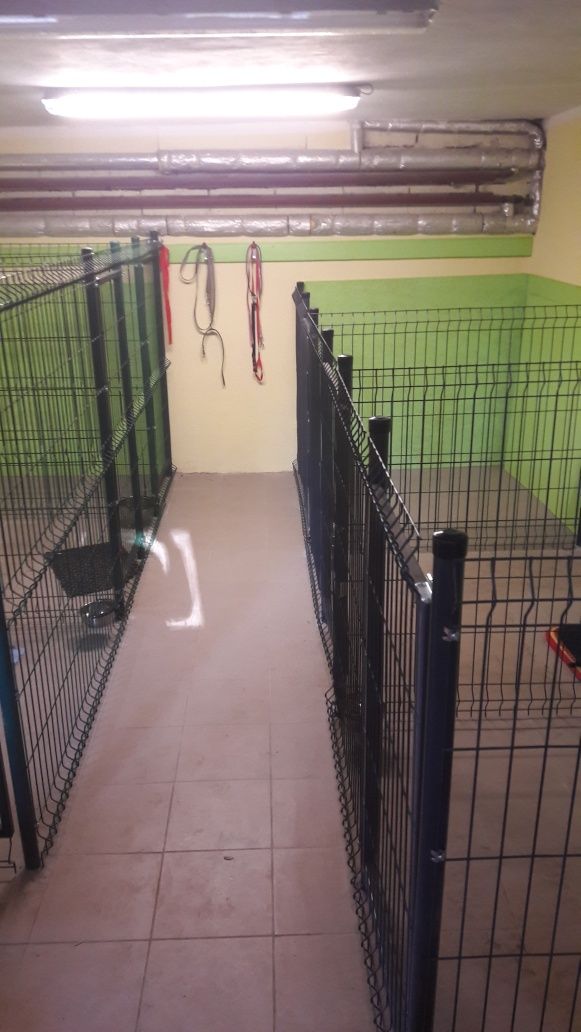 Hotel dla Psów opieka świeta/Wakacje/codzienna