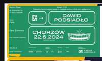 Bilet na koncert Dawid Podsiadło