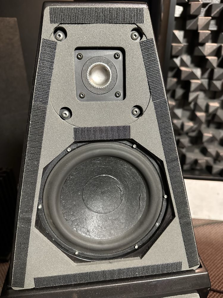 Wilson Audio Watt Puppy 6