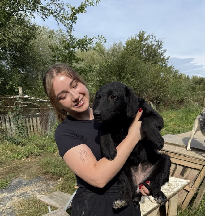 Луна стерилізована дівчинка 5-6 міс