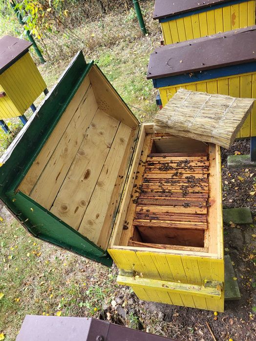 Maty ze słomy do uli – naturalne, solidne, ręcznie robione