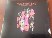 Foo Fighters "Wasting Light"