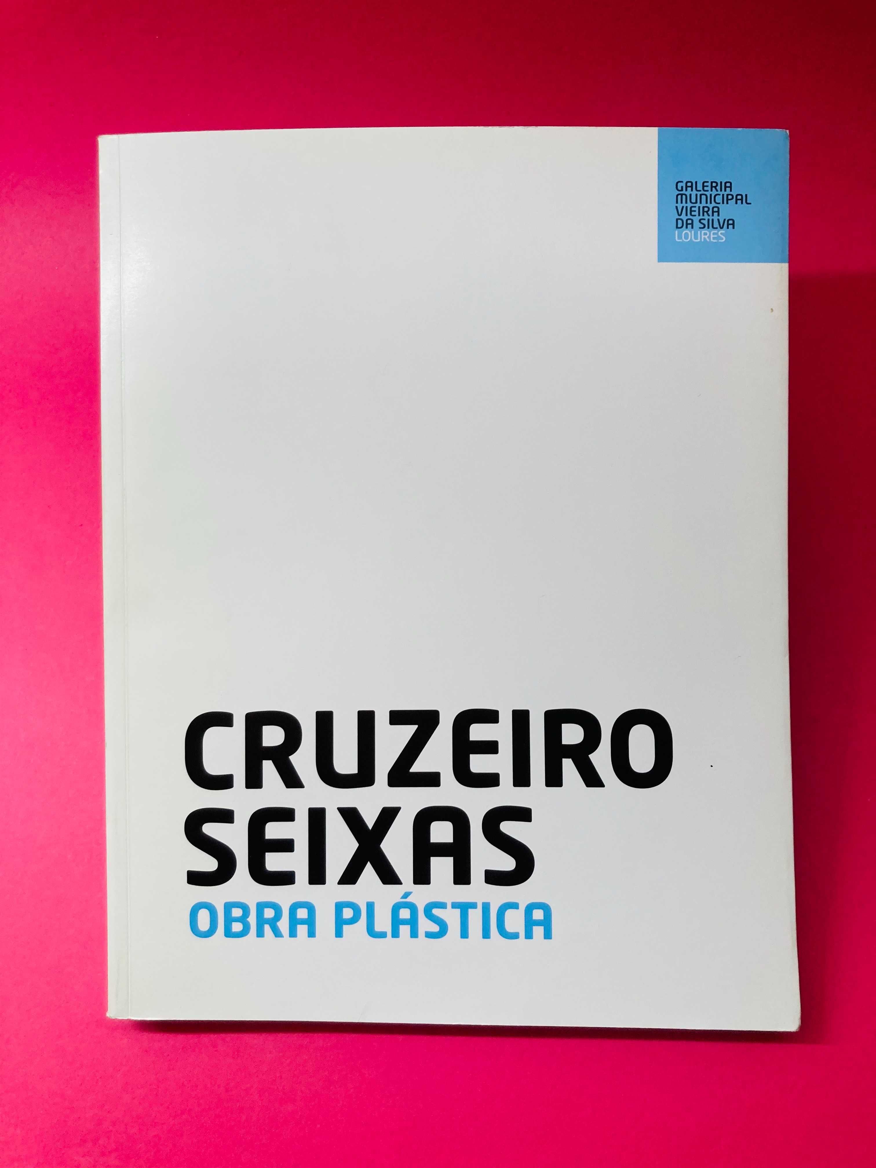 Cruzeiro Seixas, Obra Plástica - Autores Vários