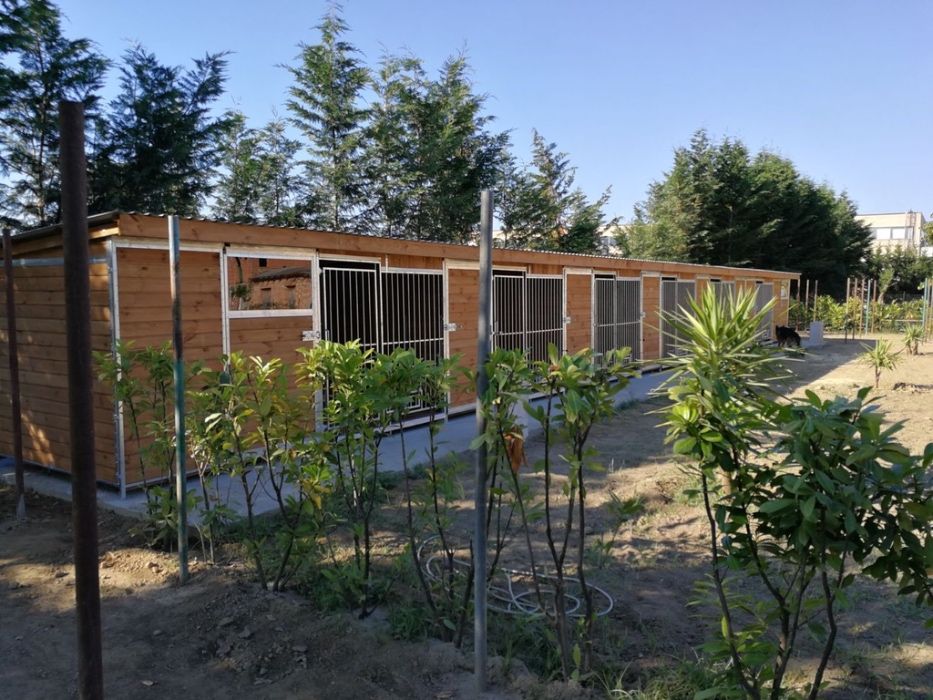 Kojec dla psa szeregowy 12m x 2m box4dog