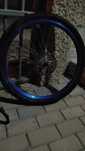 Roda azul para bicicleta