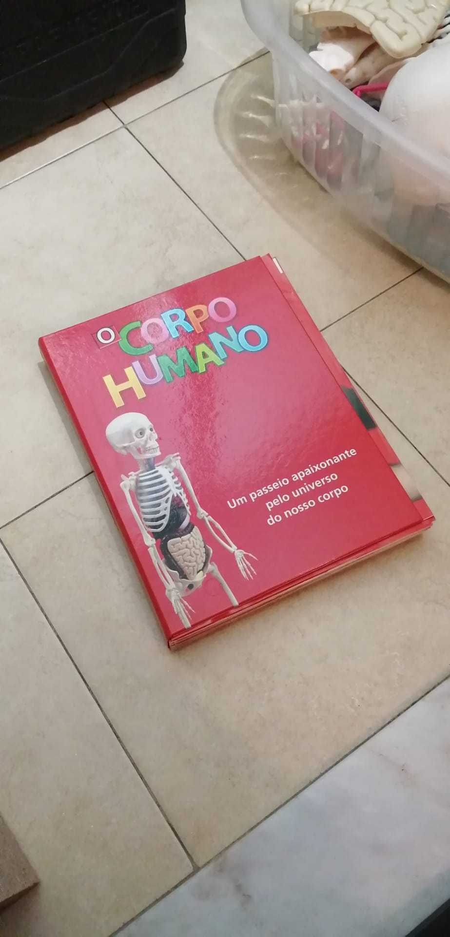 Esqueleto Coleção Corpo Humano National Geographic