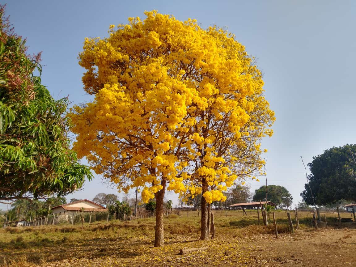 Empresa em Loulé