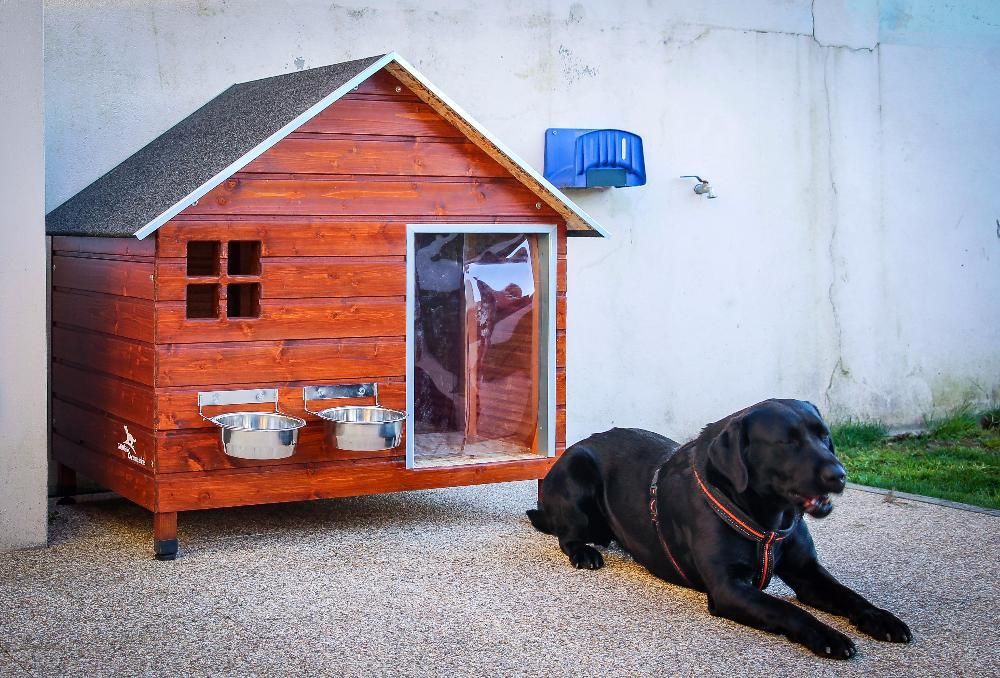 Casotas&Companhia! - Casota em Madeira Mod. Zeus L Lite