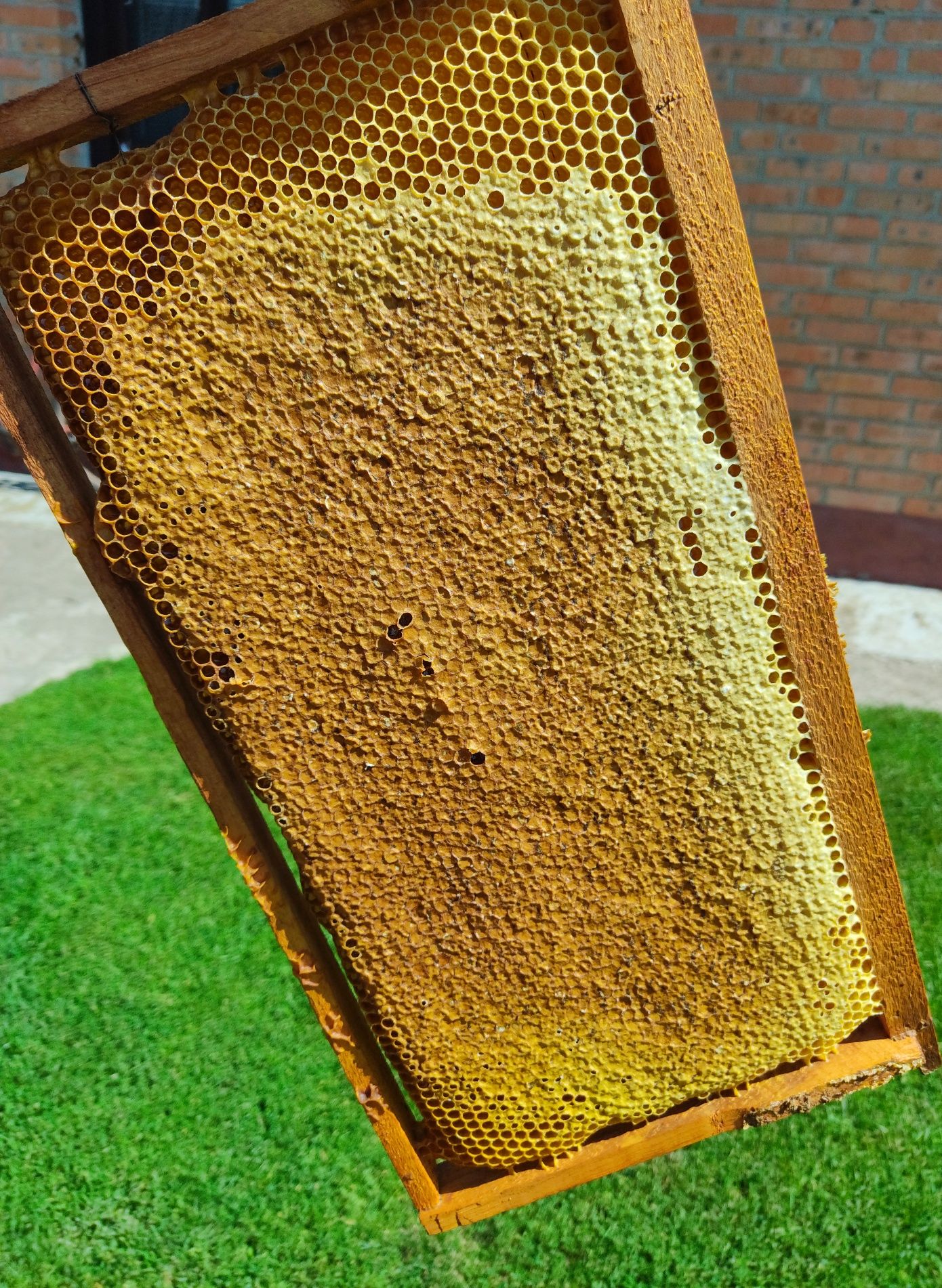 Продам розливний та сотовий мед