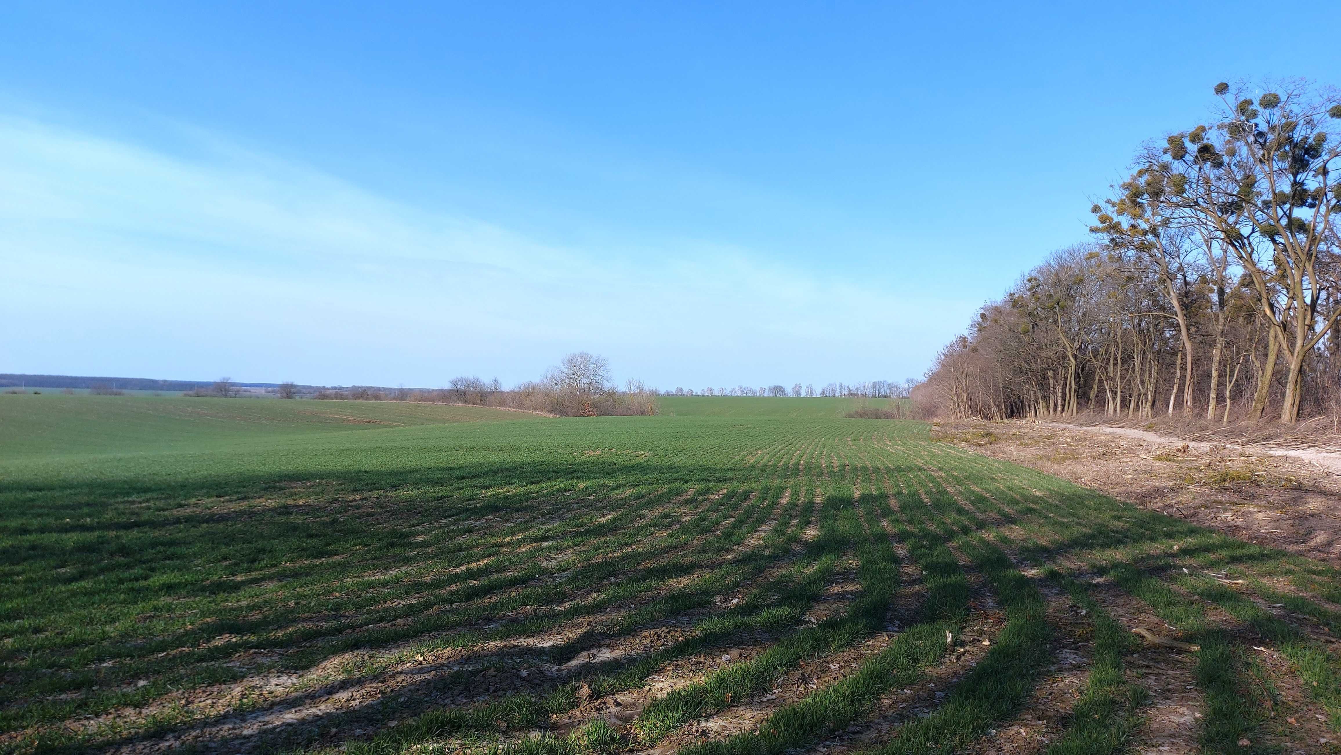 Продам ділянку комерційного призначення на околиці Вінниці (Якушинці)