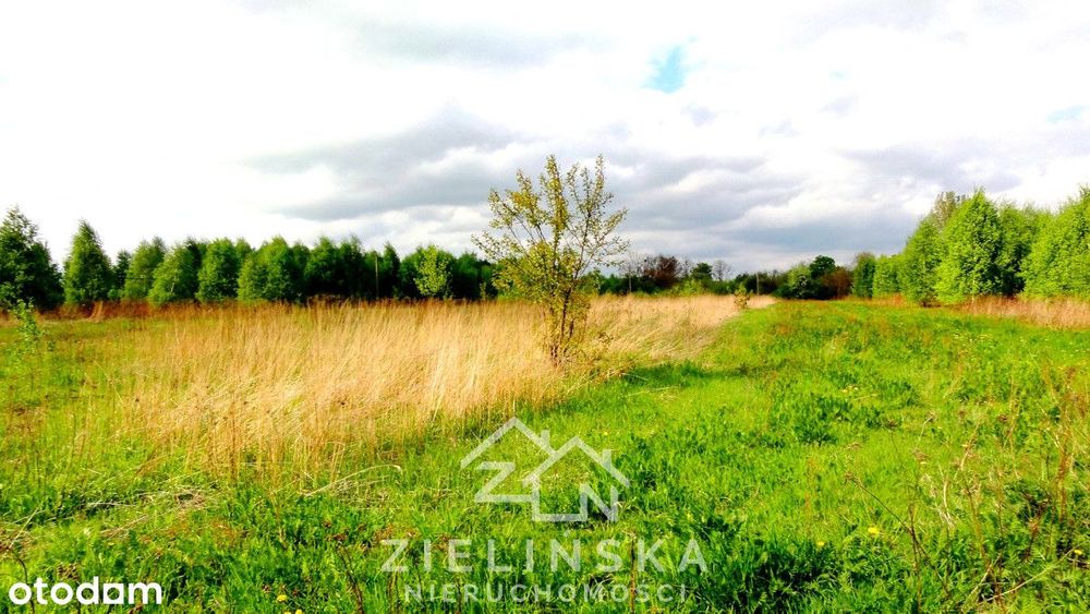 Grunty pod zabudowę lub fotowoltaikę – 10 ha,