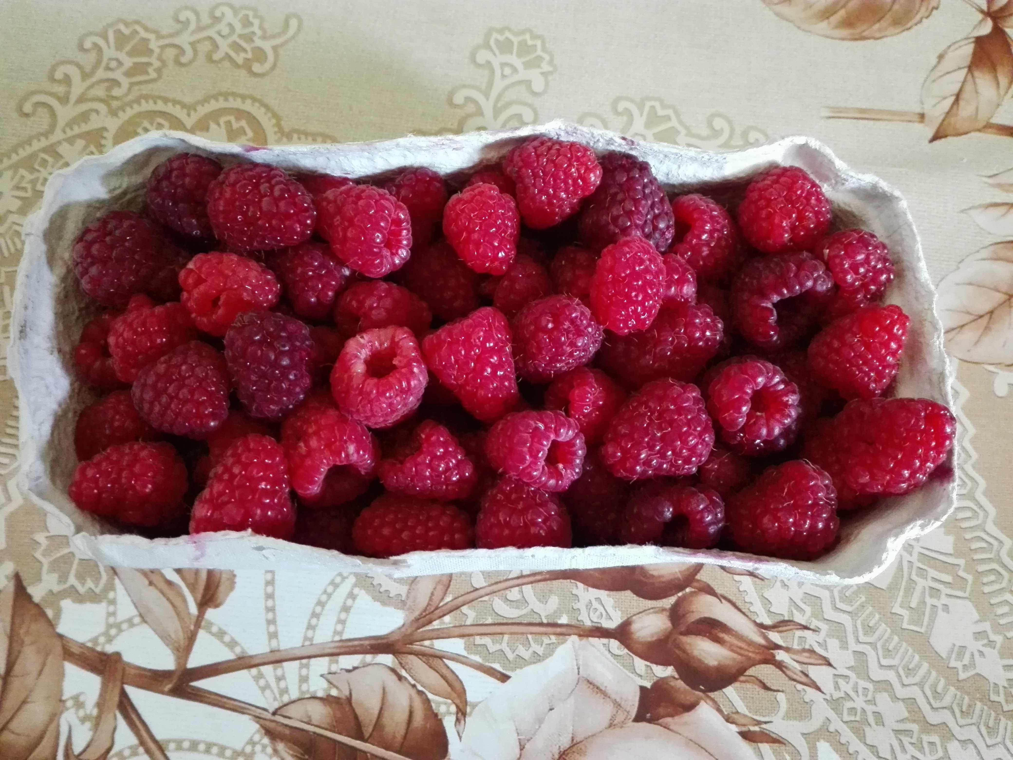Maliny ze wsi – prosto z krzaka! 16 zł/kg