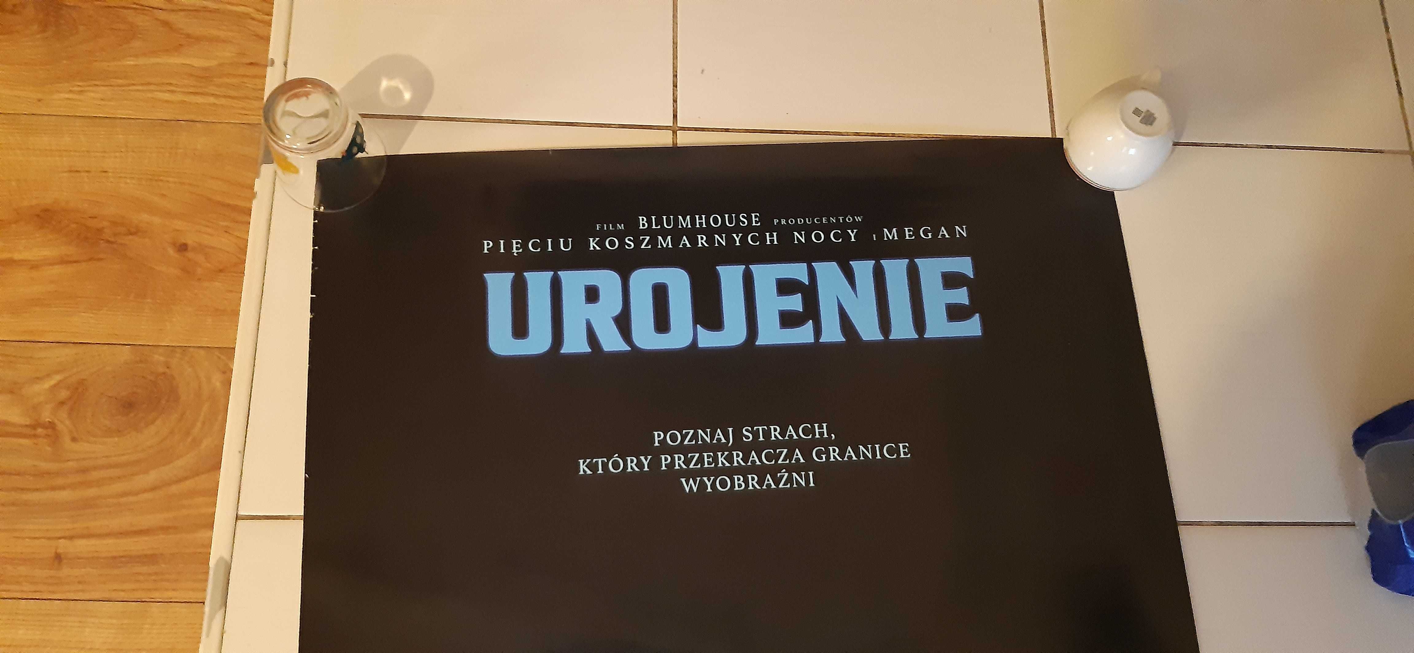 plakat kinowy horror z filmu urojenia