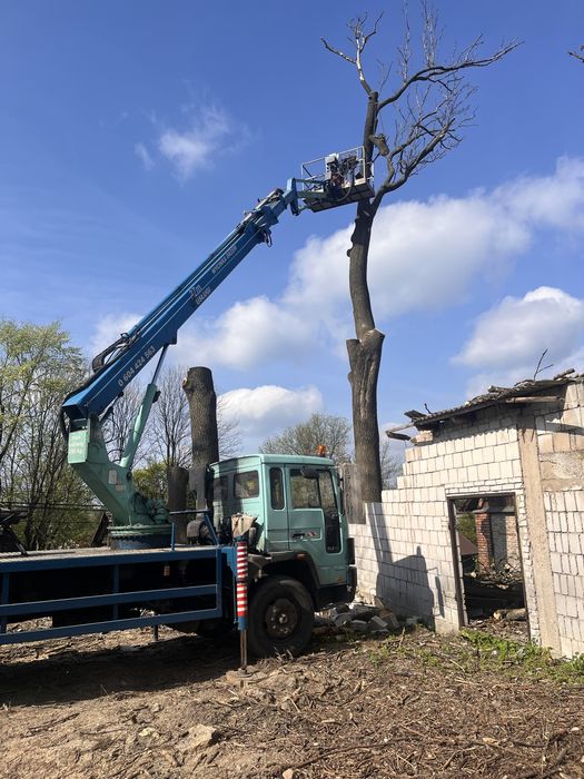 TANIO!!wycinka drzew,koszenie,pielegnacja zieleniZrebkowanie gałęzi