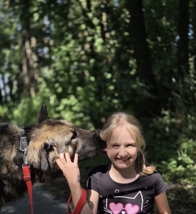 Greta – łagodna sunia w typie kaukaza szuka domu