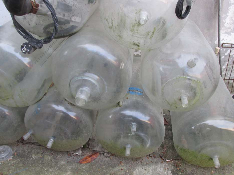 ordenha - recipientes(vasos) e maquinaria