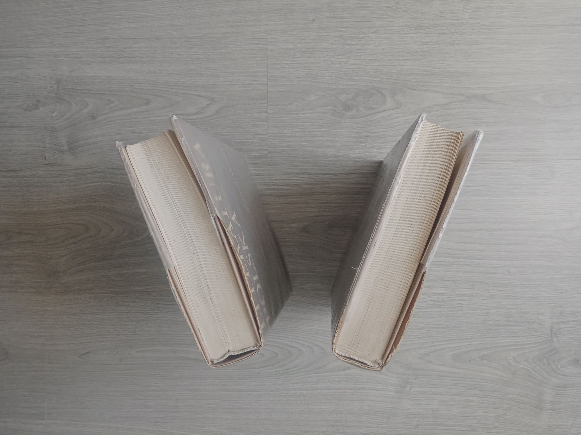Literatura Polska PWN przewodnik encyklopedyczny