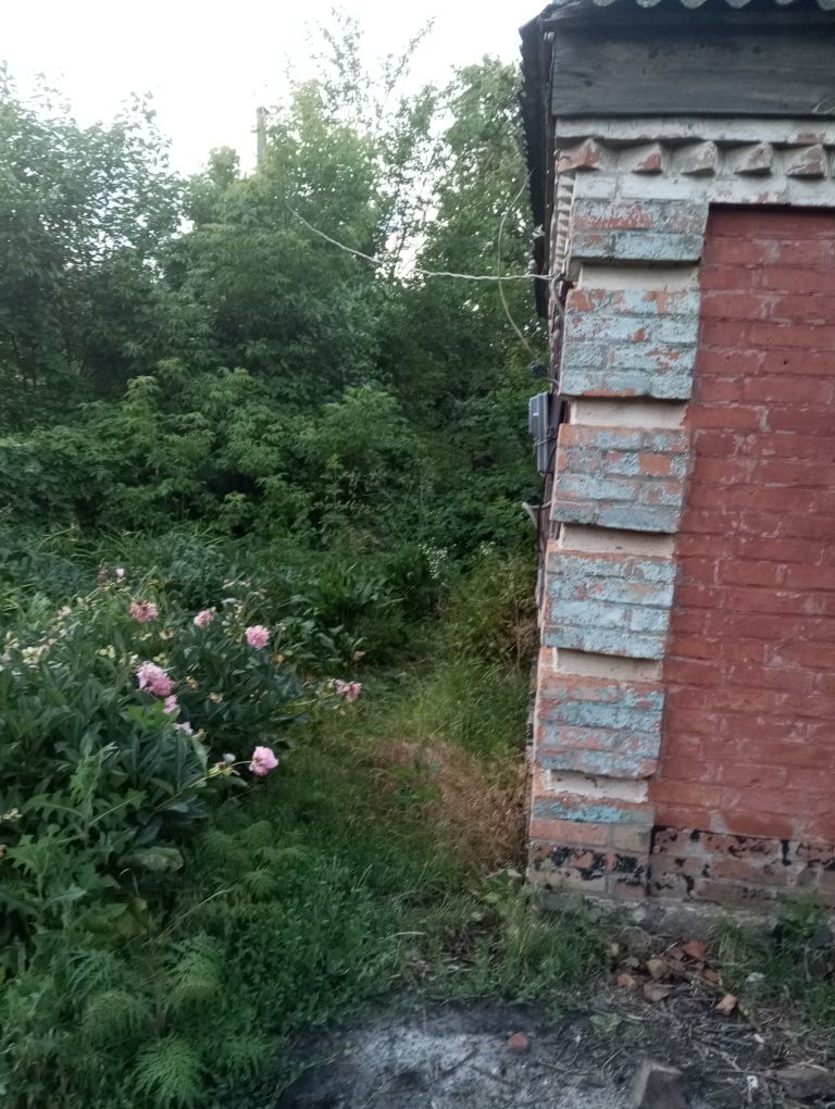 Сдам дом в Кировоградской области на долго