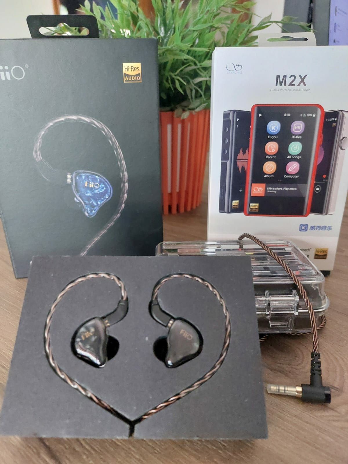 Earphone FIO FD1