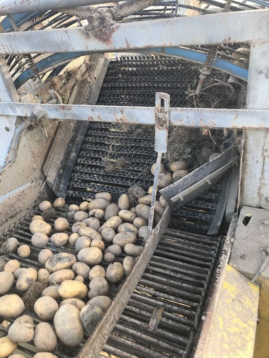 Комбайн анна