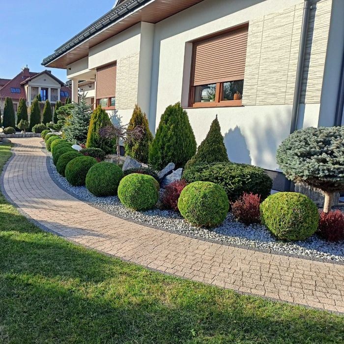 Usługi ogrodnicze przycinka wycinka drzew krzewów