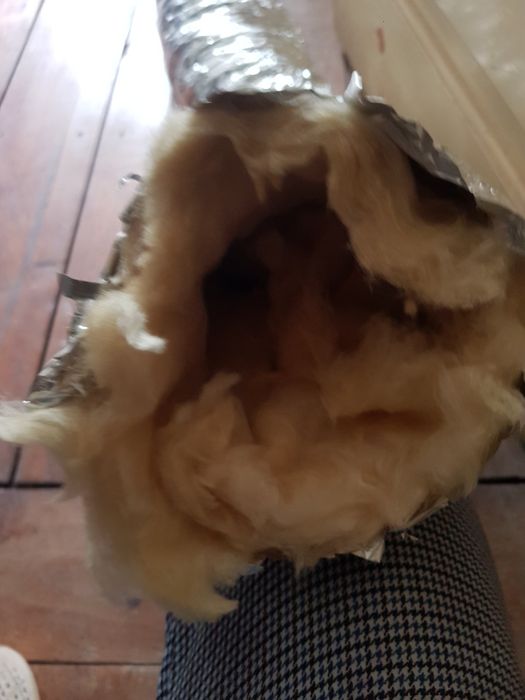 Cultivo tubo extrator