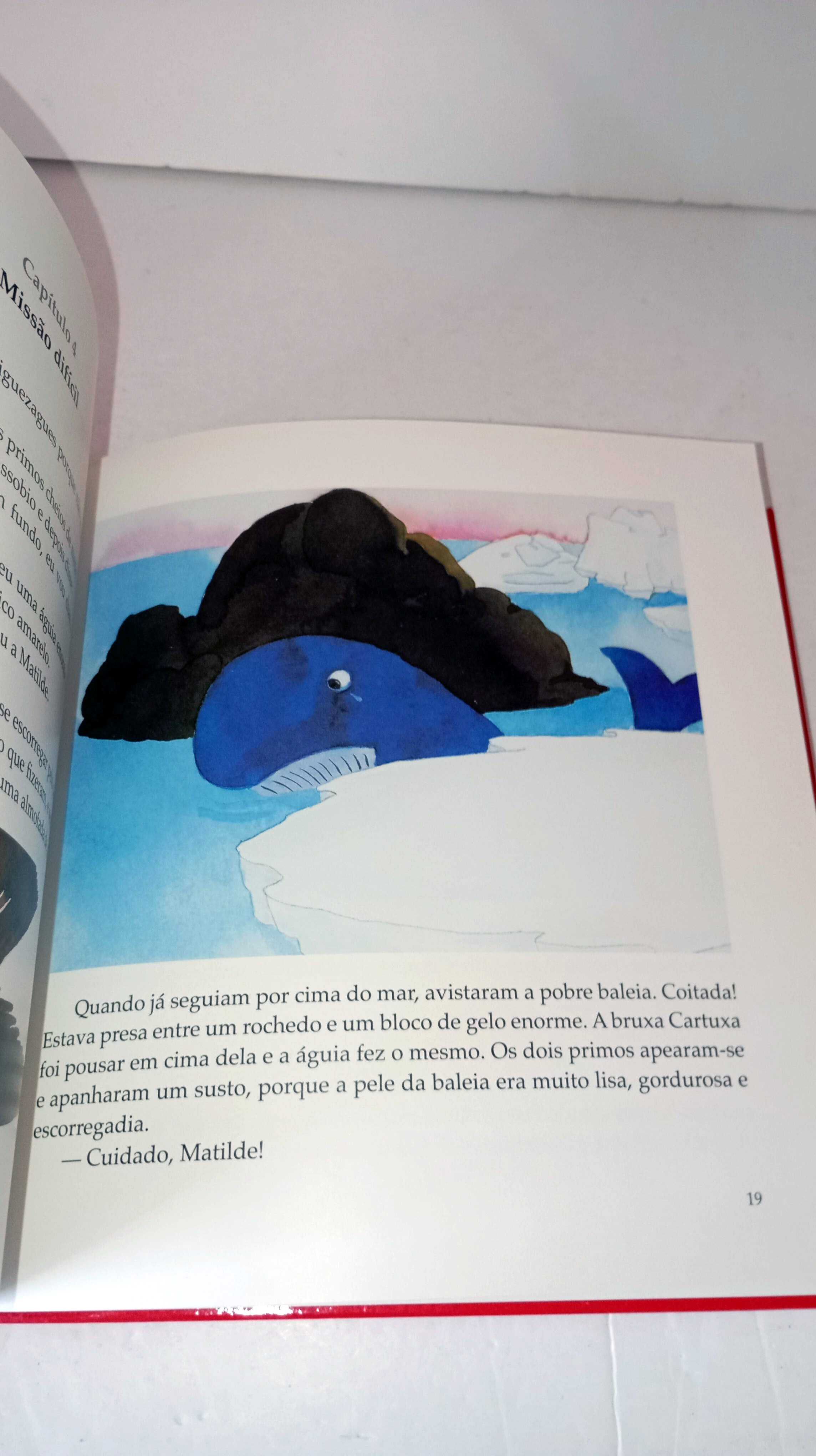 Os Primos e a Bruxa Cartuxa